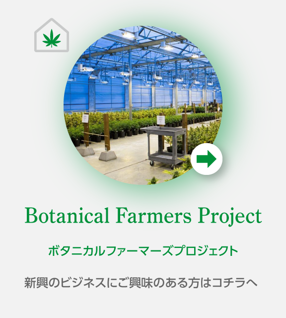 bfproject